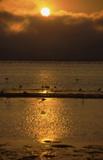 Namibia - Walvis Bay - Agosto 2002